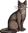 Birchfall.warrior.png