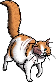 Brightheart.queen