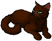 Pinestar.star