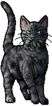 Jayfeather.mc