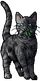 Jayfeather.mc