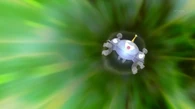 EP781 Magnezone usando supersónico