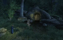 Yellow Tick Cave