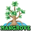 Mangrove hud