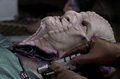 Axanar arteries.jpg