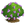 Roxo Lilac Tree