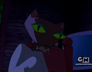 Kitty2