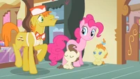 Mr. Cake now Pinkie S2E13