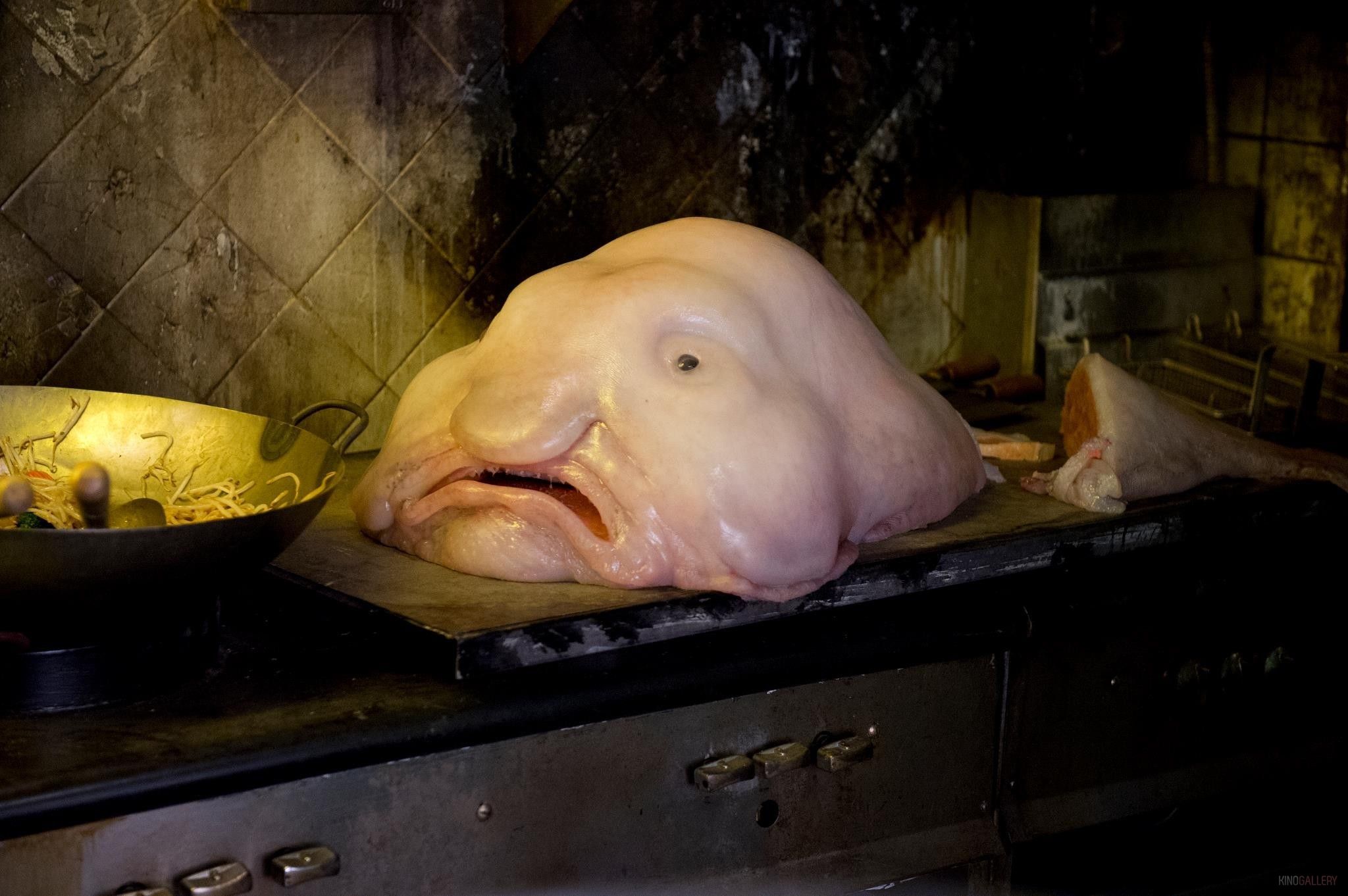 What the blobfish looks like in its natural habitat of 2000 to 3900 ft  beneath the sea (when it hasn't had its body dama…