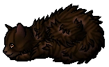Raggedstar.kit.png (7 KB) Raggedstar.kit