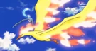 P12 Moltres