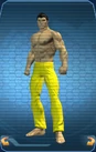 LegsGadgeteer