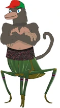 Dolochimp