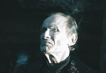 Viktorburn