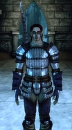 Cultist overseer