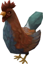 Rooster