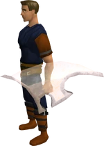 Blessed spirit shield equipped