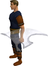 Spirit shield equipped