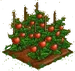 Tomato 100