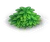 Tree1v2