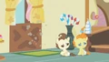 Pound & Pumpkin Cake look where S2E13.png