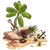 Treasure Event (2013)-icon