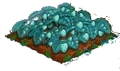 Red Iceberry 100.png