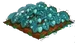 Red Iceberry 100