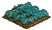 Red Iceberry 66