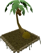 Palm tree