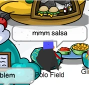 Mmm Salsa
