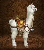 White alpaca