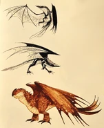 371px-Toothless Concept5