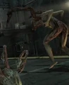 S2.png