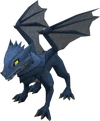 Baby blue dragon