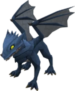 Baby blue dragon