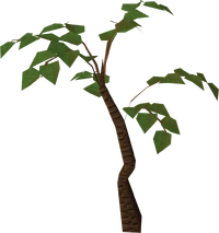 Jungle tree