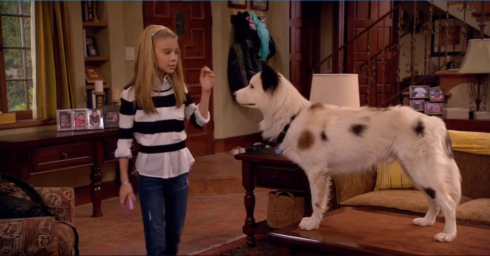 Avery From Dog with a Blog