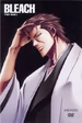 Bleach Vol. 15 Cover