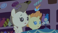 Pound & Pumpkin Cake didn't get it S2E13