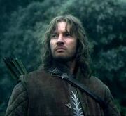 Faramir 555