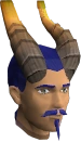 Long Horns chathead