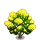 Black Wattle Tree-icon