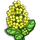 Canola-icon