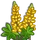 Yellow Lupin-icon