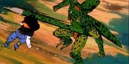17 vs cell