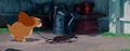 Lady-tramp-disneyscreencaps com-821.jpg