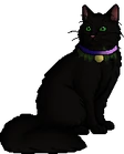 Ebonyclaw.warrior