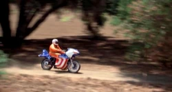 Rt viva