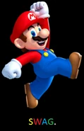 Mario Swag